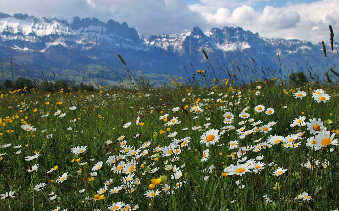 Primer paso a dar en la ley de la segunda oportunidad