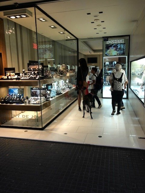 Exoneran a una empresaria de las deudas